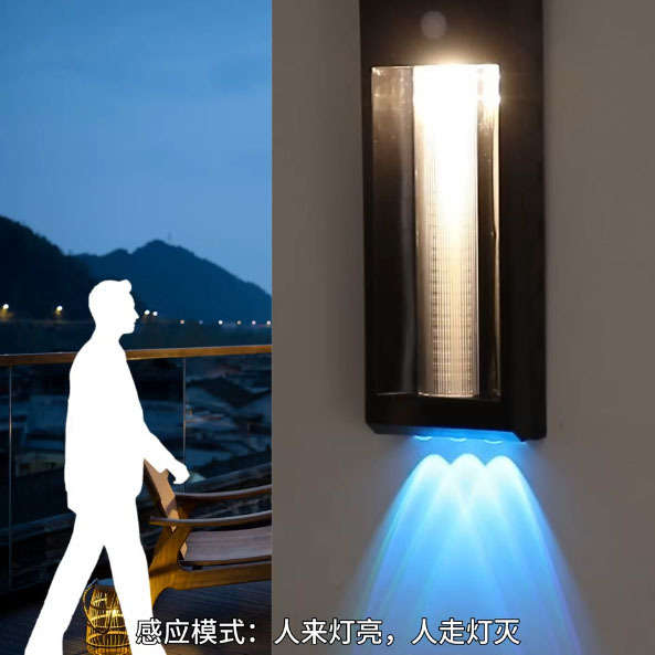 High Quality Outdoor Garden Solar Induction Wall Lamp 5.5V 1.6W Waterproof Outdoor Solar Lamp