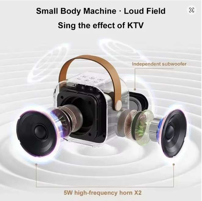 Karaoke Machine Portable 5.3 PA Speaker System with 1-2 Wireless Microphones Home Family Singing Chi