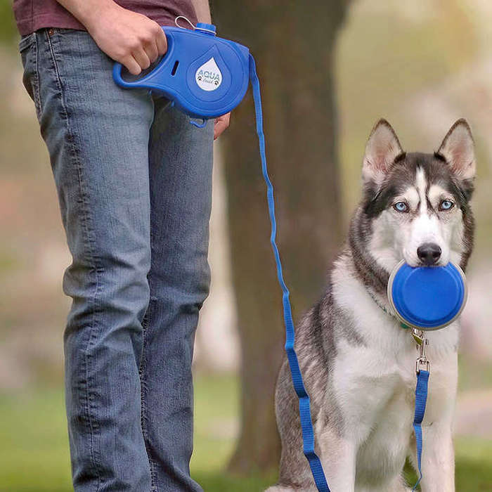 4 in 1 Retractable Dog Leash Automatic Traction Rope Belt Dog Leash With Folding Pet Bowl Drinking B