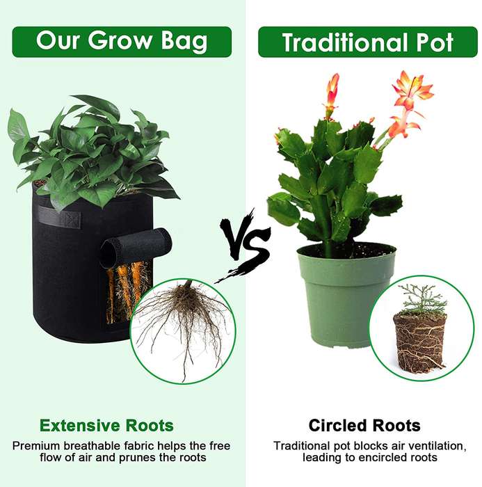 Grow-in-a-Bag