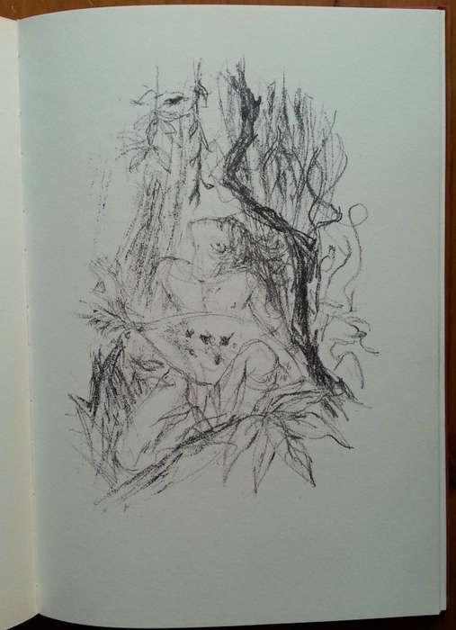 RAKA  -  Numbered Edition, SIGNED BY  N.P. van Wyk Louw (in slipcase)