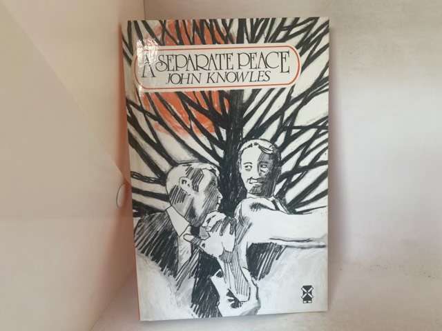 A Separate Peace - John Knowles
