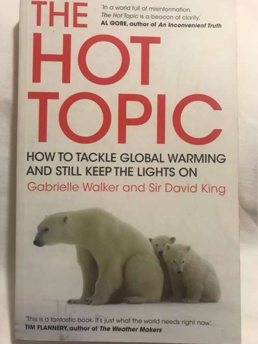 The Hot Topic - Gabrielle Walker, David King
