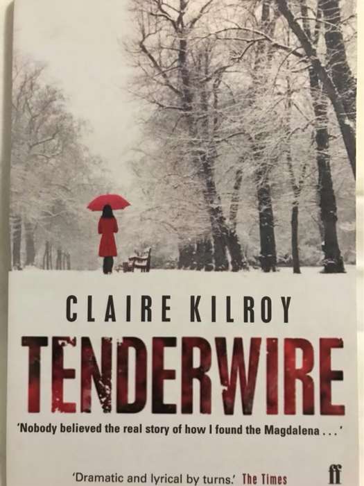 Tenderwire - Claire Kilroy