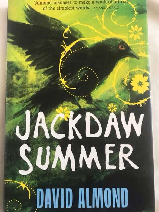 Jackdaw Summer - David Almond