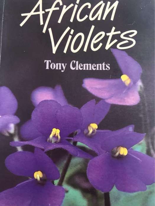 African violets - Tony Clements