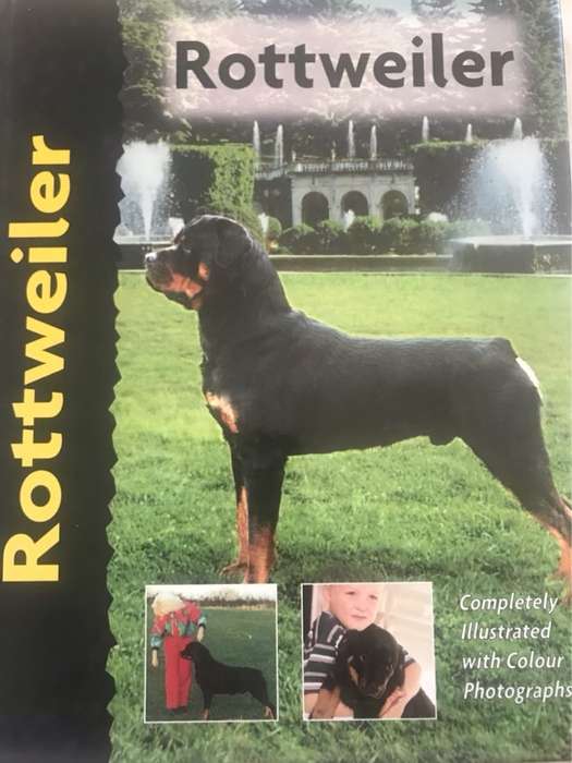 Rottweiler - Wilhelm Jonas