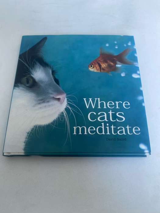 Where Cats Meditate - David Baird
