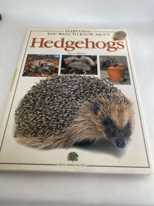 Everything You Want to Know about Hedgehogs, Hedgehogs - Dilys Breese