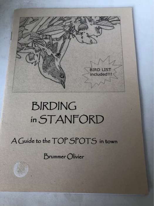 Birding in Stanford, A guide to the top spots in town - Brummer Olivier
