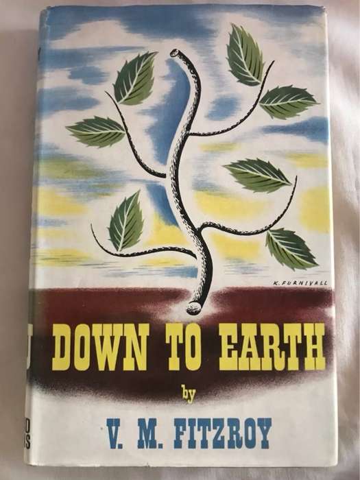 Down to Earth - V.M.Fitzroy
