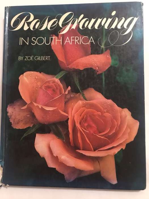 Rose Growing in South Africa - Zoe Gilbert