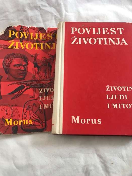 Povijest Zivotinja - Morus