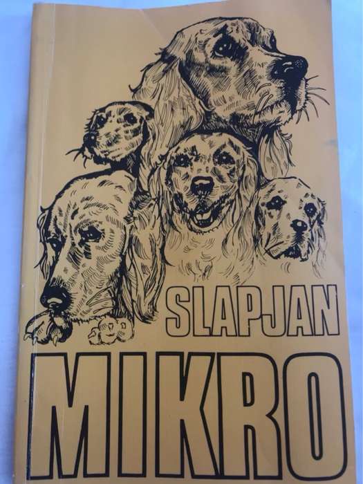 Slapjan - Mikro