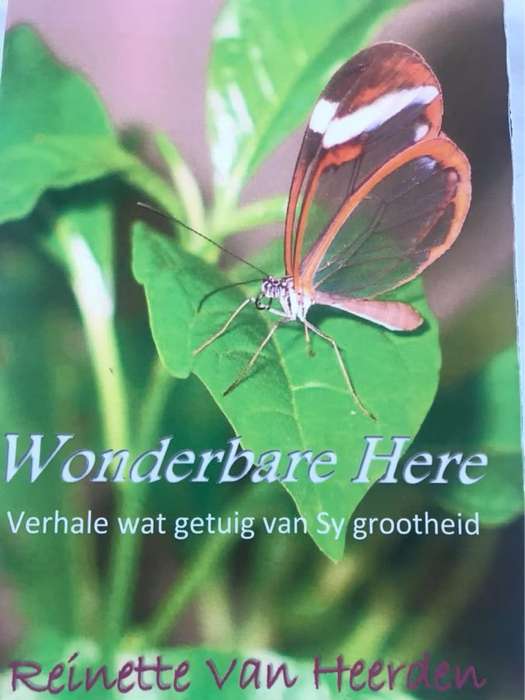 Wonderbare Here, verhale wat getuig van Sy grootheid - Reinette Van Heerden