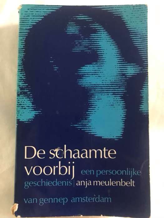 De Schaamte Voorbij - Anja Meulenbelt