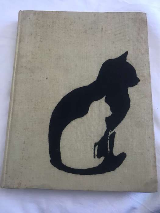 From Kittens to Cat - Walter Chandoha