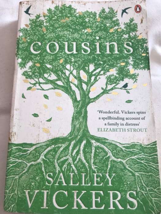 Cousins - Salley Vickers