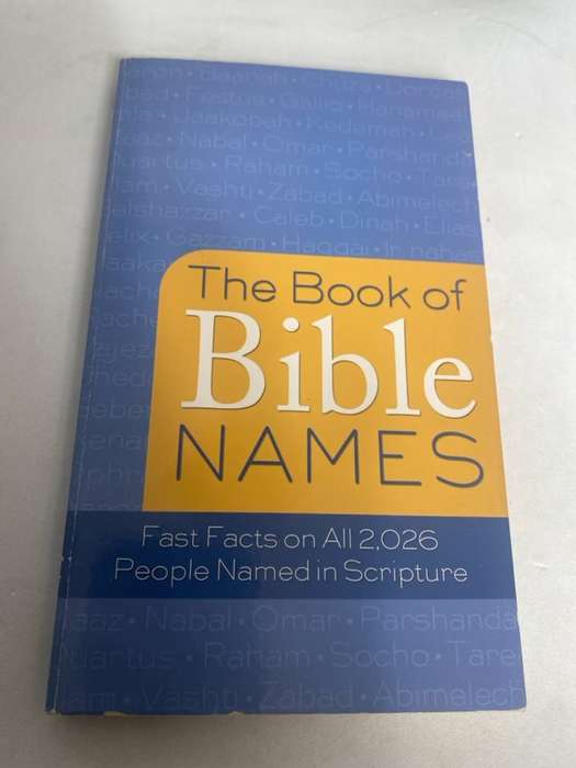 The Book of Bible Names - Pamela McQuade