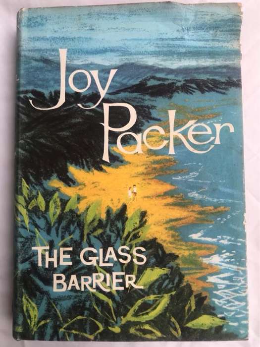 The Glass Barrier - Joy Packer