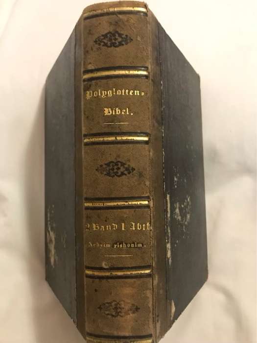 Polyglotten Bibel - H.Stier und Theile