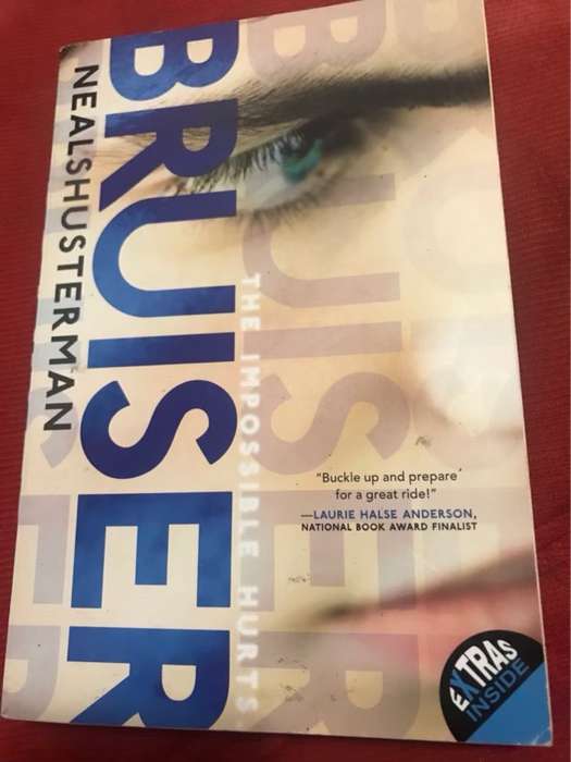 Bruiser - Neal Shusterman
