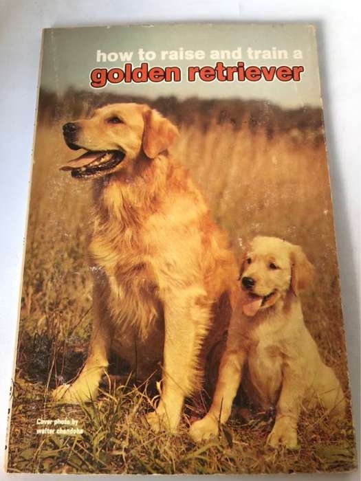 Golden RetrieverHow to raise and train - Evelyn Miller