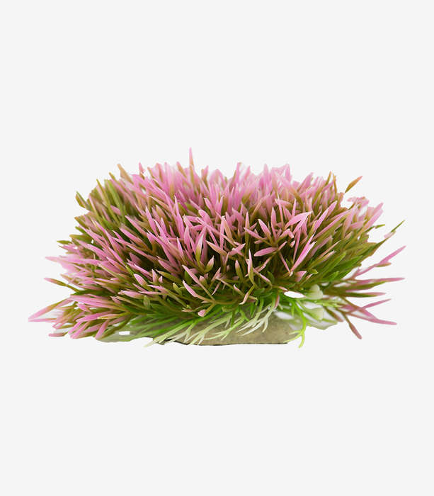 Rosy Shrub Aquarium Decoration | Zugo | Pink Fish Tank Plant Ornament (14cm)