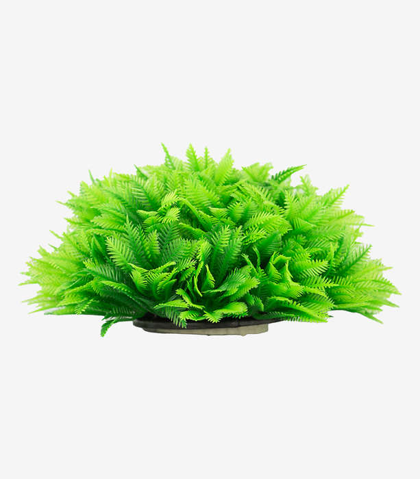 Ferny Green Shrub Aquarium Decoration | Zugo | Realistic Fish Tank Plant Ornament (17cm)