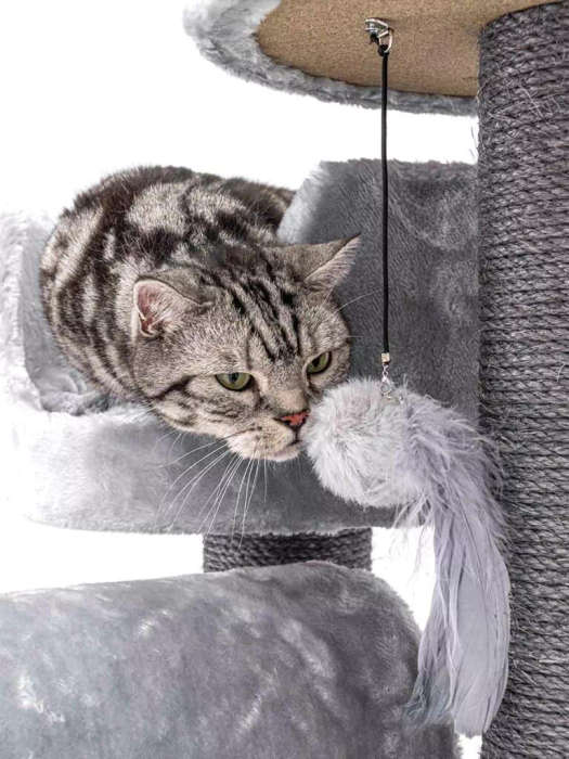 PetRebels Victoria 125 Multi-Level Cat Tree with Velvety Soft Plush Covering  48.5 x 48.5 x 12...