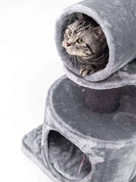PetRebels Victoria 125 Multi-Level Cat Tree with Velvety Soft Plush Covering  48.5 x 48.5 x 12...