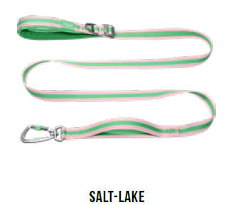 Doco Vertex Double Handle Dog Leash  Medium  Salt-Lake | Doco | Durable Hiking Leash with D...