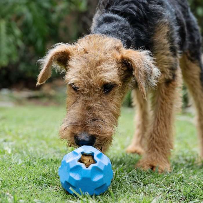 Treat Tumbler Rubber Dog Toy | Zugo | Mental Stimulation & Treat Dispenser
