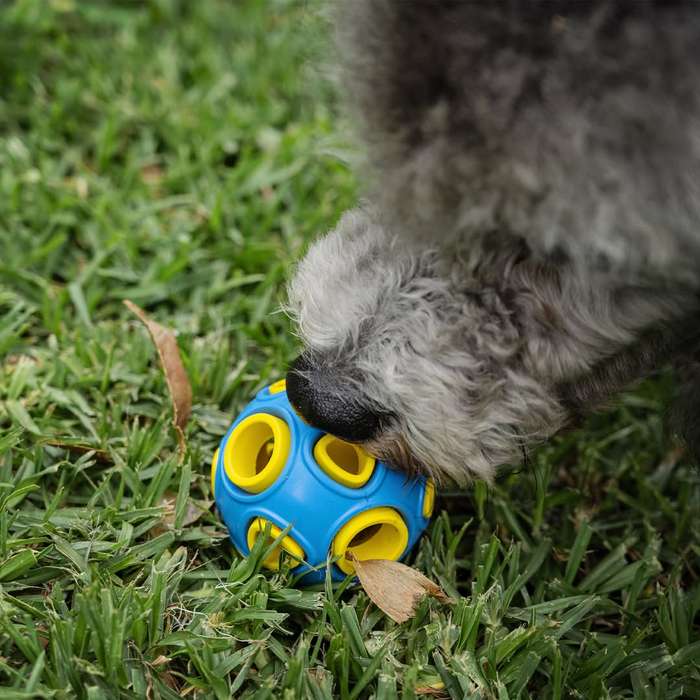 Whirlball Rubber Dog Toy | Zugo | Durable Chew & Fetch Toy for Dogs