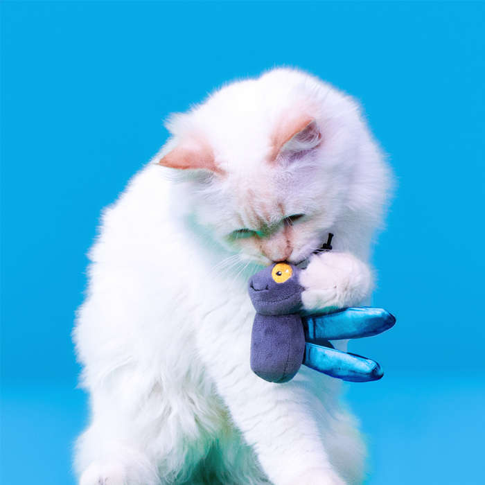 Fly Plush Catnip & Sound Toy  Cat Toy | Zugo | Interactive Cat Plush with Catnip & Sound