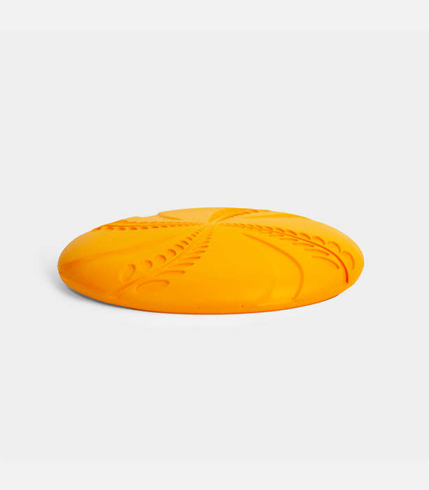 Aeroglide EVA Dog Toy | Zugo | Floating Lightweight Flying Disc for Dogs