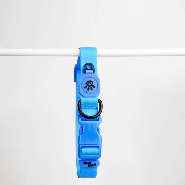 Doco Jelly Bean Dog Collar - L - Turquoise | Doco | Vibrant Turquoise Collar for Large Dogs