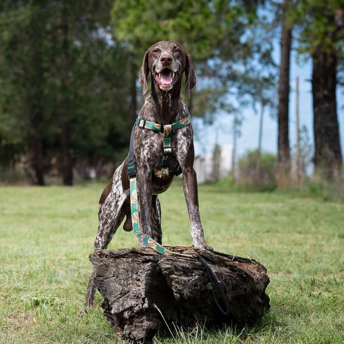 Doco Loco Dog Harness  S  Camouflage | Doco | Small Adjustable Camouflage Dog Harness