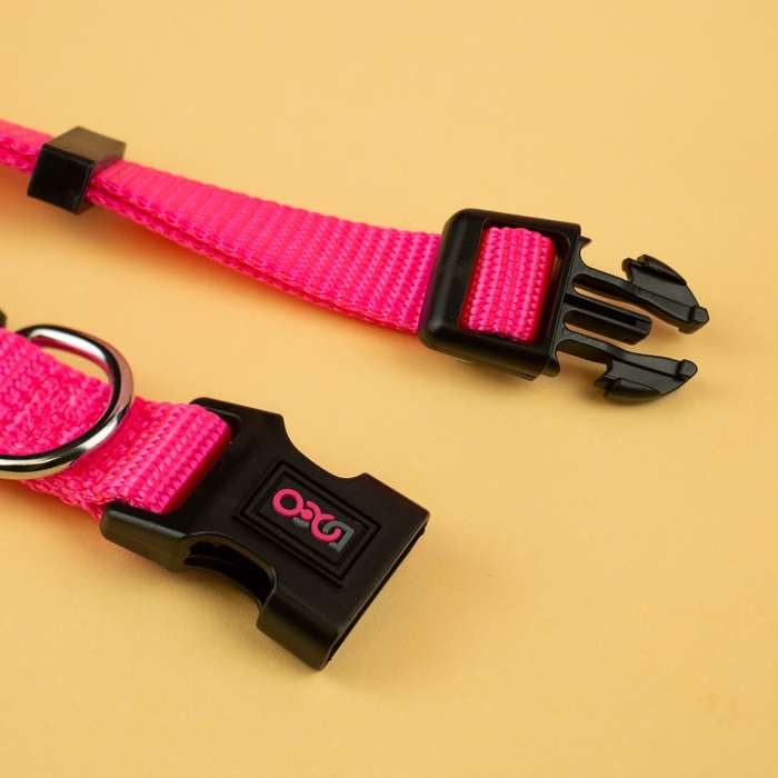 Doco Signature Nylon Dog Collar  S  Pink | Doco | Vibrant & Secure Collar for Small Dogs