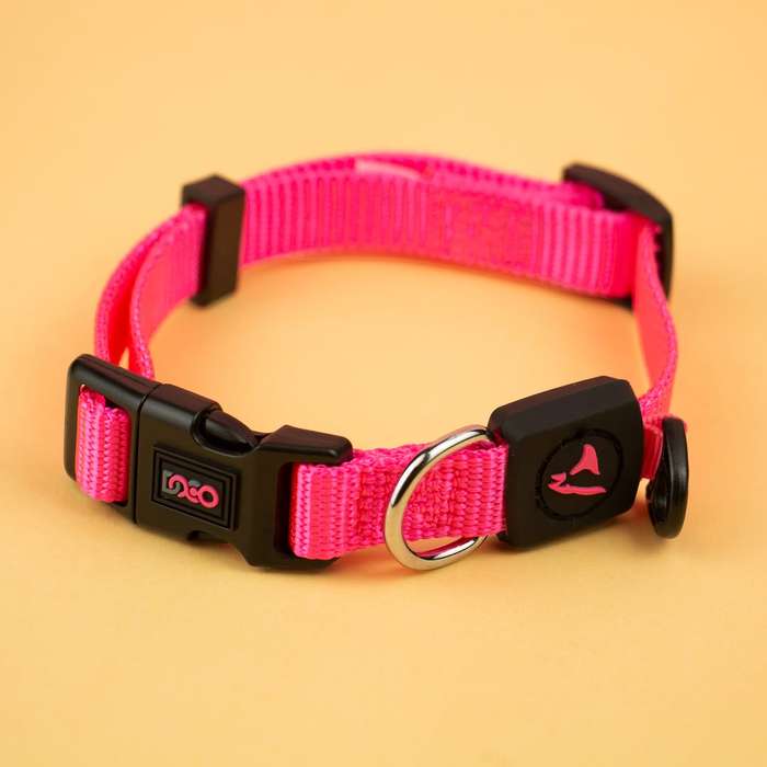 Doco Signature Nylon Dog Collar  S  Pink | Doco | Vibrant & Secure Collar for Small Dogs