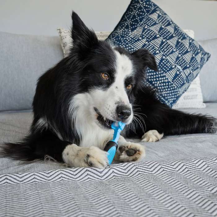 Dog Tooth Brush  3 Sided | Zugo | Triple-Action Dog Toothbrush for Efficient Oral Care