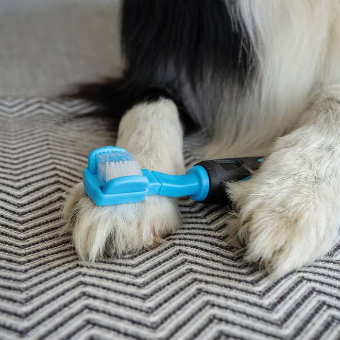 Dog Tooth Brush  3 Sided | Zugo | Triple-Action Dog Toothbrush for Efficient Oral Care