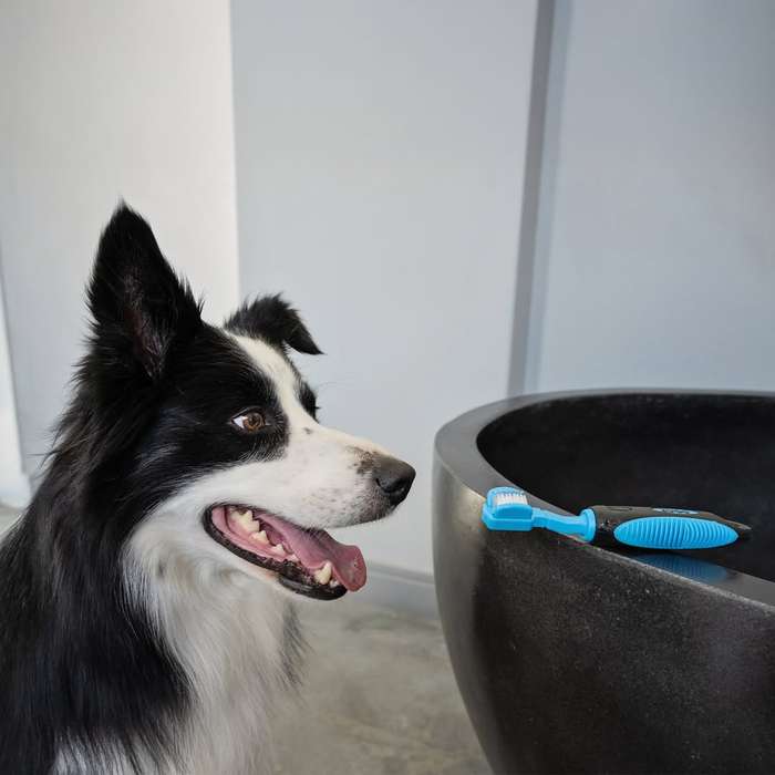 Dog Tooth Brush  3 Sided | Zugo | Triple-Action Dog Toothbrush for Efficient Oral Care