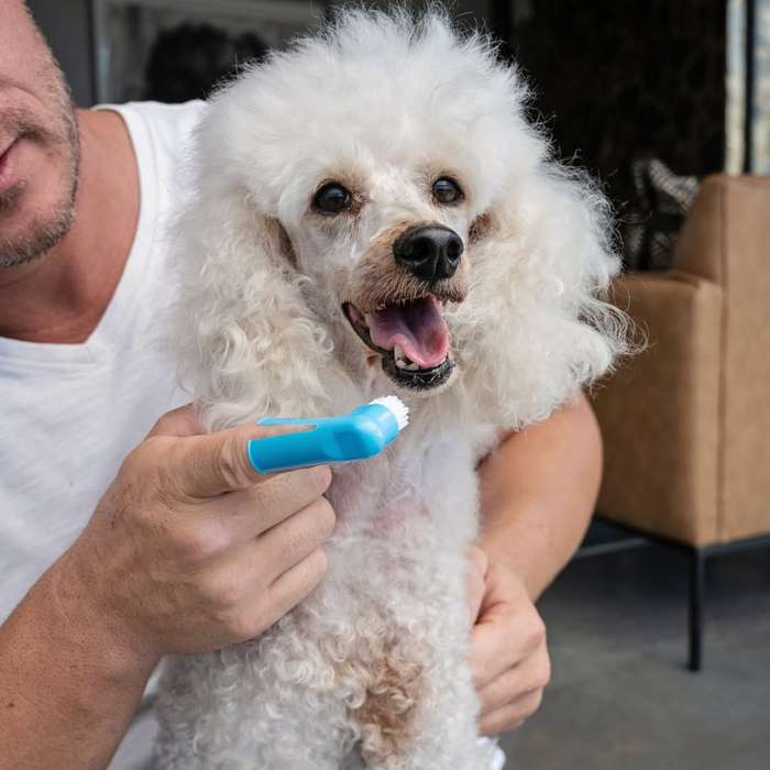 Dog Tooth Brush  Finger | Zugo | Gentle, Precise Dental Cleaning for Dogs