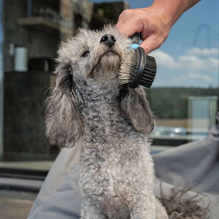 Multi Purpose Dog Brush  Small | Dual-Sided, Ergonomic Detangler & Smoother