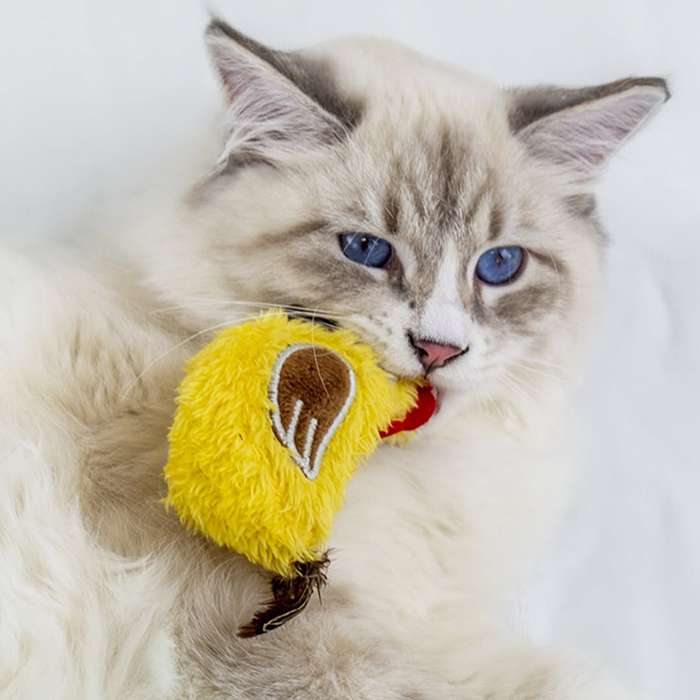 Rooster Plush Catnip Toy  Cat Toy | Zugo | Soft, Catnip-Filled Farmyard Plush for Cats
