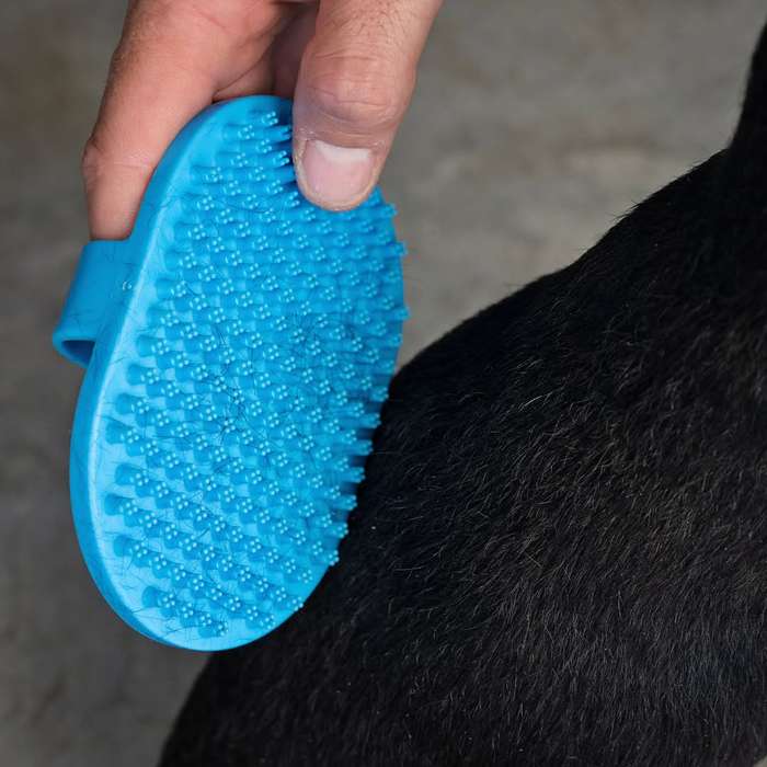 Massage Dog Brush  Short Bristle | Gentle Comfort & Therapeutic Grooming