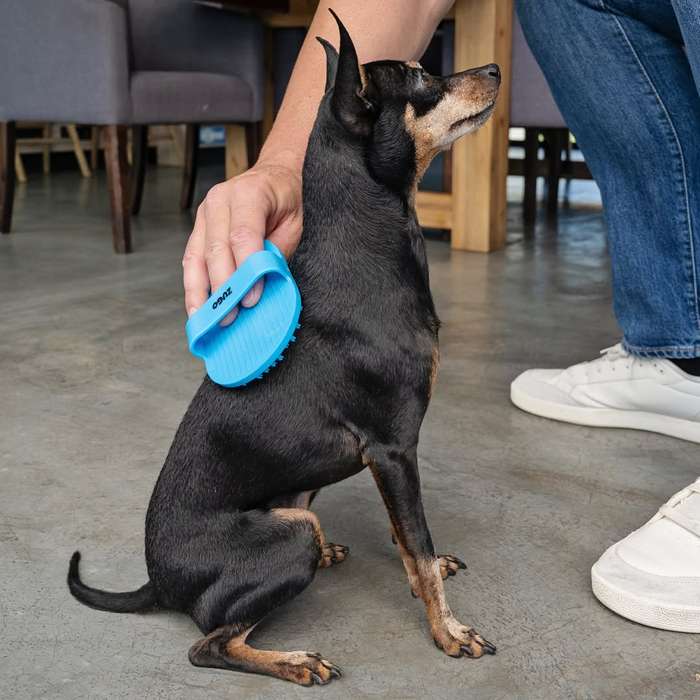 Massage Dog Brush  Short Bristle | Gentle Comfort & Therapeutic Grooming