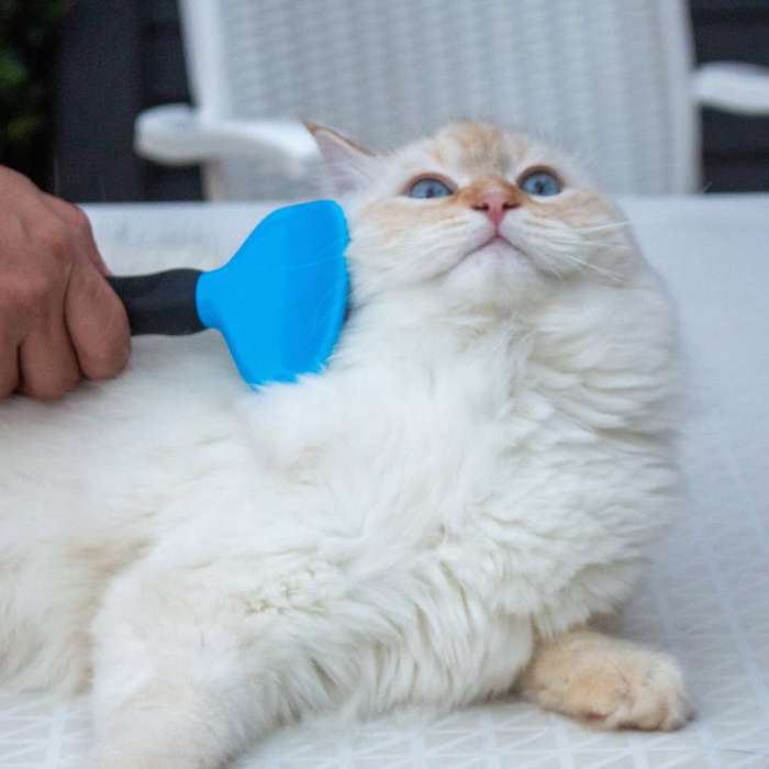 Slick Cat Brush  Small | Gentle Fine Bristle Grooming Tool for Small Cats