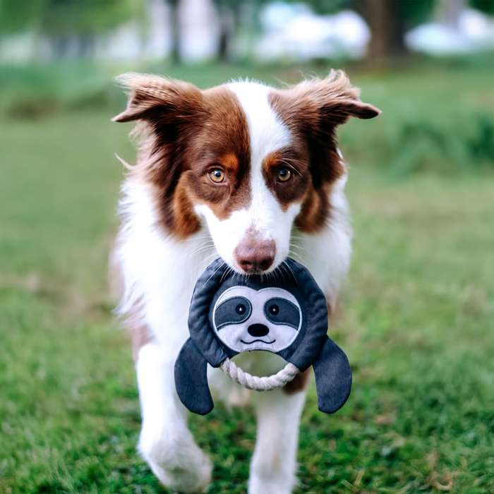 Frisbee Sloth Plush Dog Toy | Zugo | Soft, Unique Plush for Interactive Dog Play & Cuddling